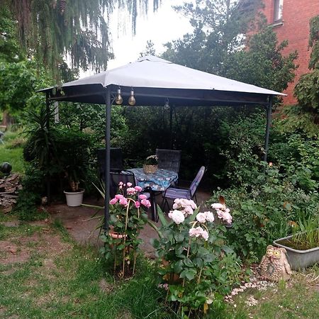 Ferienwohnung Markert Blankenburg  Δωμάτιο φωτογραφία